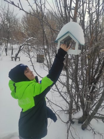 В рамках проекта "Покормите птиц зимой".